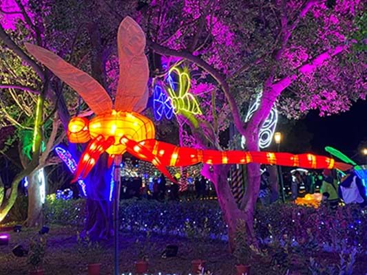 Dragonfly luminations at Lantern Festival